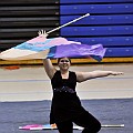 Wenzville Holt Guard 31310